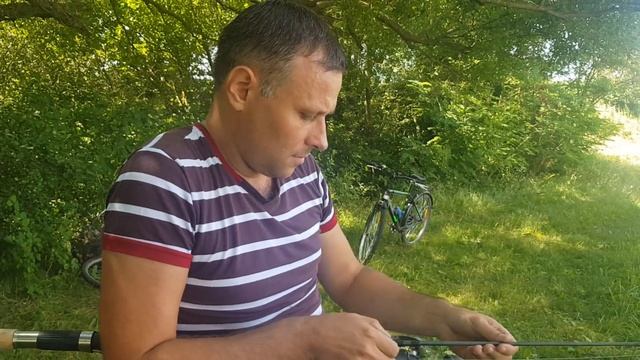 Рыбалка на донку и уловистый 100% горох на карпа смотреть онлайн