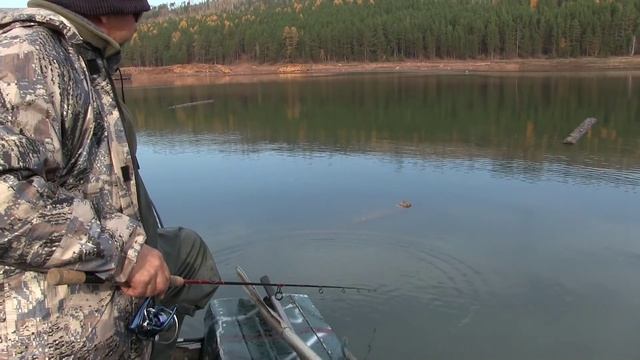 Ловля окуня в бревнах на р.Ангара. Отличная рыбалка.Иркутск смотреть онлайн