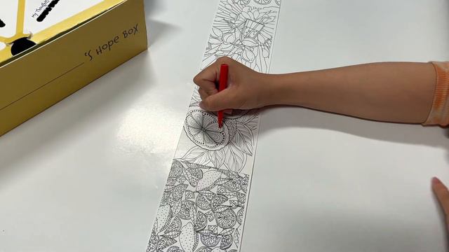 Super Sibs Lemon-Aid Package