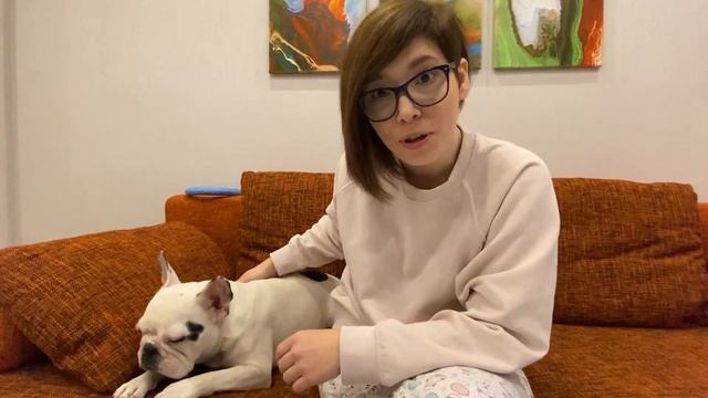 Стрём или норм? Чистка ушей французскому бульдогу смотреть онлайн