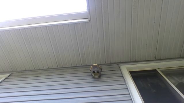 masturbation is a sin biblically смотреть онлайн