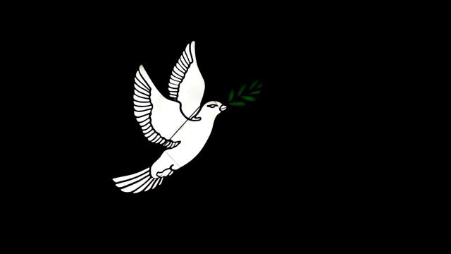 Голубь Мира над Одессой. / Pigeon of peace over Odessa. смотреть онлайн