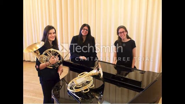 Concierto de Haydn (Rosetti) para dos trompas y piano смотреть онлайн