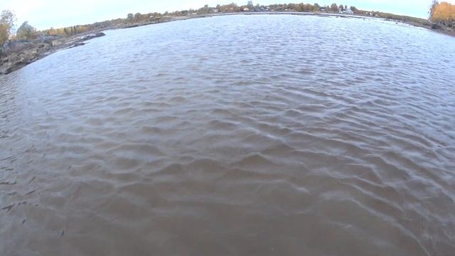 Рыбалка в Арктике! Поставил новую сетку НА СИГА по рыбьей тропе| НА БЕЛОМ МОРЕ! ОСЕНЬ смотреть онлайн