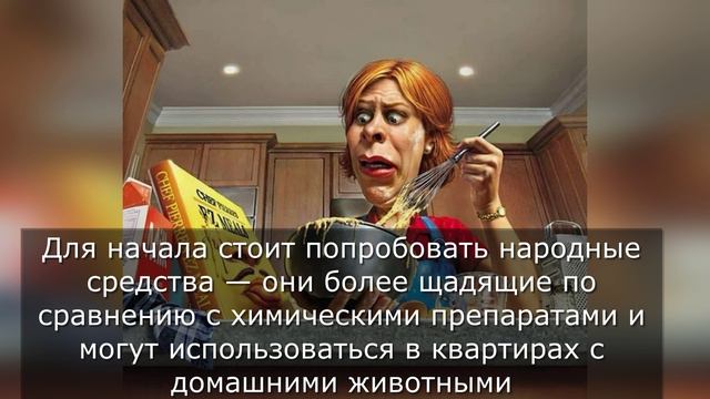 Не смешной таракан и борная кислота смотреть онлайн