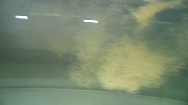 Разведение синодонтов. Часть 4. смотреть онлайн
