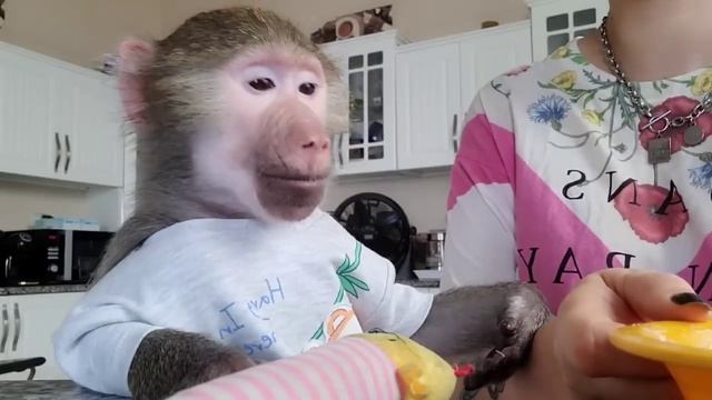 Всем приятного аппетита! Люблю от Никуши! ❤️ смотреть онлайн