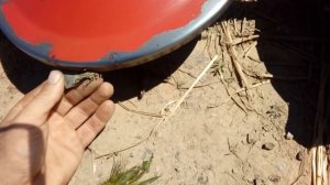 Доработка роторной косилки