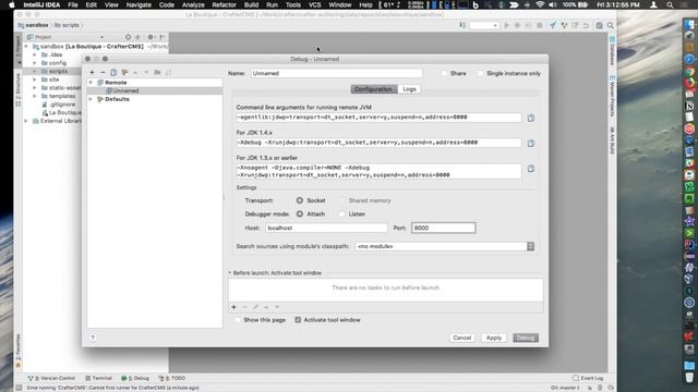 Integrating IntelliJ IDEA with CrafterCMS 3 and using Remote Step-through Debugging смотреть онлайн