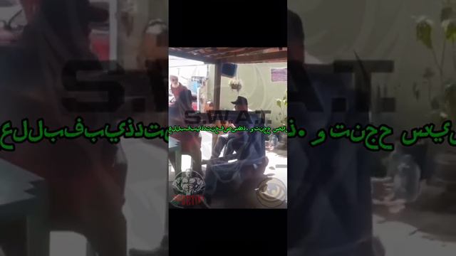 бокс сват спортивной АГУ агу смотреть онлайн