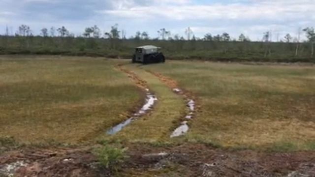 ПОКАТУШКИ,ШЕРП И ХИЩНИК (ЧАСТЬ 1) смотреть онлайн