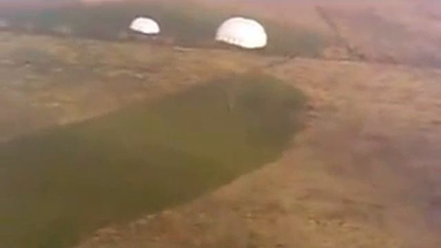 Одуванчики 2012 смотреть онлайн