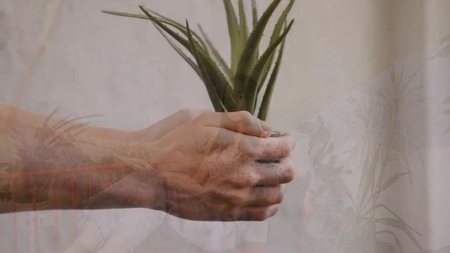 МИНИМАЛИСТИЧНЫЙ ДИЗАЙН ИНТЕРЬЕРА | Минимализм в интерьере смотреть онлайн