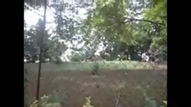 Поездка В Чехию Выпуск 4- (зоопарк zoopraha) смотреть онлайн