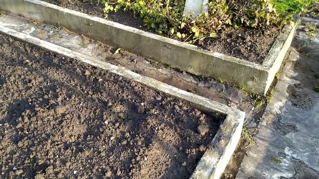 Какие грядки выбрать, дерево - фанера - бетон? Мой отзыв и опыт. Влагостойкая фанера - это миф? смотреть онлайн