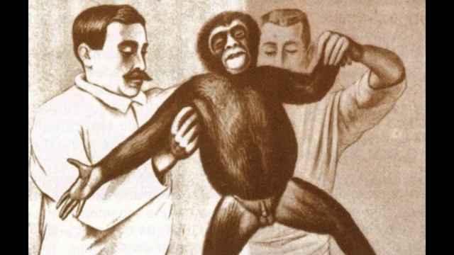 Мысли вслух о прототипах. По дороге в Бжни смотреть онлайн