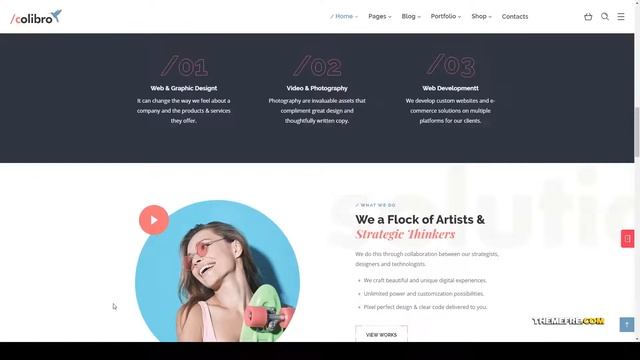Colibro - Multipurpose Portfolio WordPress Theme photography photographer Build Website смотреть онлайн