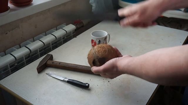 Как расколоть кокос дома смотреть онлайн