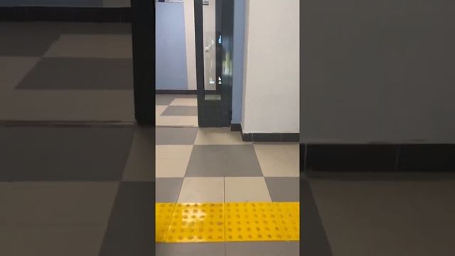 ЖК Ручьи отделка парадных обзор