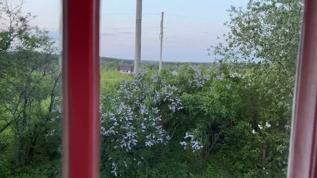 ВИНЕГРЕТ НЕДЕЛЬНОЙ СВЕЖЕСТИ#1. И ТУТ И ТАМ УСПЕТЬ ХОЧУ смотреть онлайн