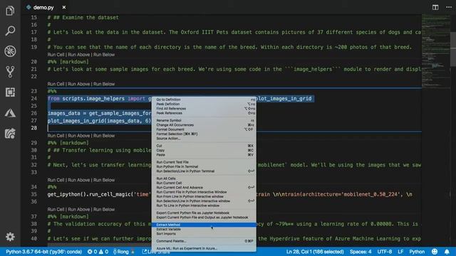 Build an AI-powered Pet Detector with Python TensorFlow and Visual Studio Code - BRK3014 смотреть онлайн