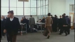 Подсолнухи 1970   7 12