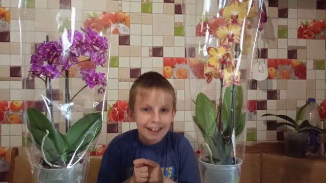 С Днём Мам!Всем мамам крепкого здоровья! смотреть онлайн