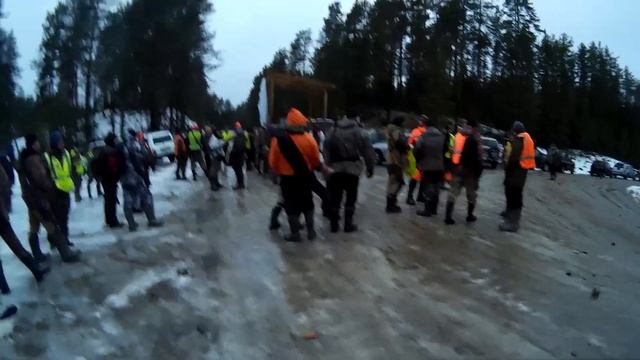 Охота на волка. Облава на волка. Моё знакомство с коллективной охотой. смотреть онлайн