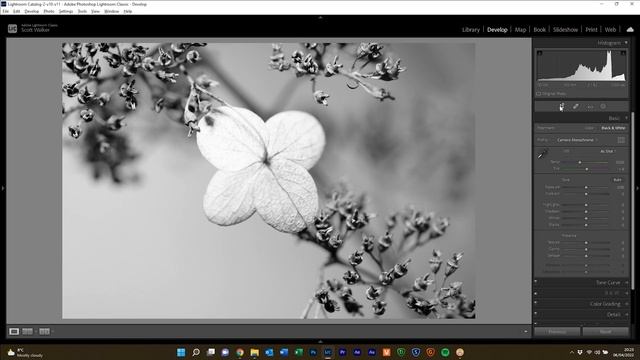 Your Nature Photos Reviewed: Walks With You Episode 1 смотреть онлайн