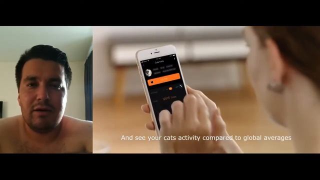 What's app для кошек! Это пипец! Смотреть сейчас чтобы узнать. смотреть онлайн
