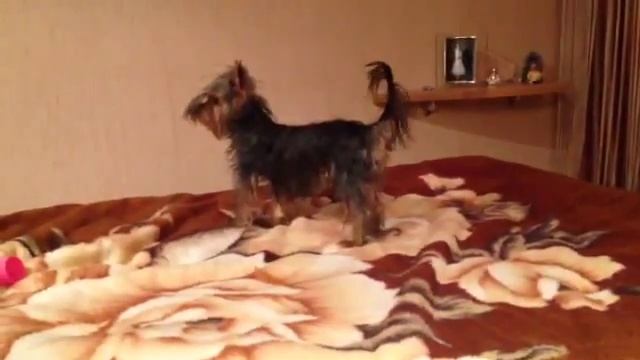 Милана делает зарядку смотреть онлайн