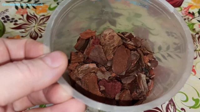 Орхидея нарастила много воздушных корней. Зачистка, посадка. смотреть онлайн