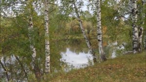 Варгатёр