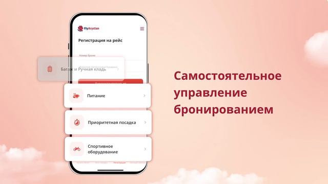 Преимущества мобильного приложения FlyArystan ✈️📱 смотреть онлайн