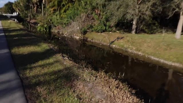 FISH HEIST $5000 Reward For Wild PEARL CAPTURE! смотреть онлайн