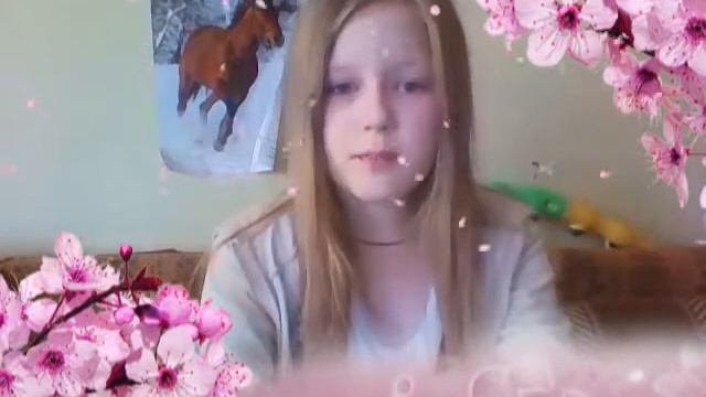 Небольшой влог о время приключений смотреть онлайн