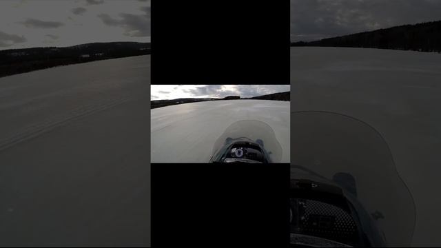 Тайга Патруль и Тикси плывут по озеру! смотреть онлайн