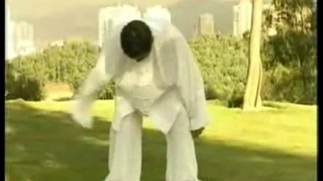 Хунь юань нэйгун 12 форм 04