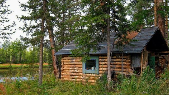 Шаман Тайга о тролях бесовских и про Царя Царей.