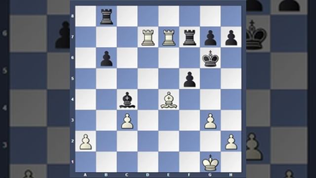 David Navara - Fabiano Caruana, Wijk aan Zee 2016. смотреть онлайн