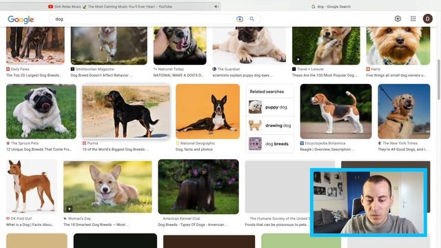 How I learn Turkish words fast | Part 2 смотреть онлайн