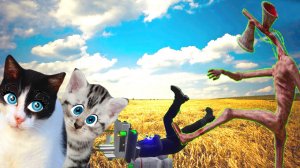 ШАНЕЛЬКА и АВРОРА всех ПЕРЕХИТРИЛИ! Сиреноголовый и Камерамен СДУЛИСЬ!!!