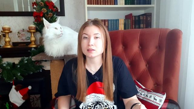 Зачем вы моете кошек? Или ГРУМИНГ кошек смотреть онлайн