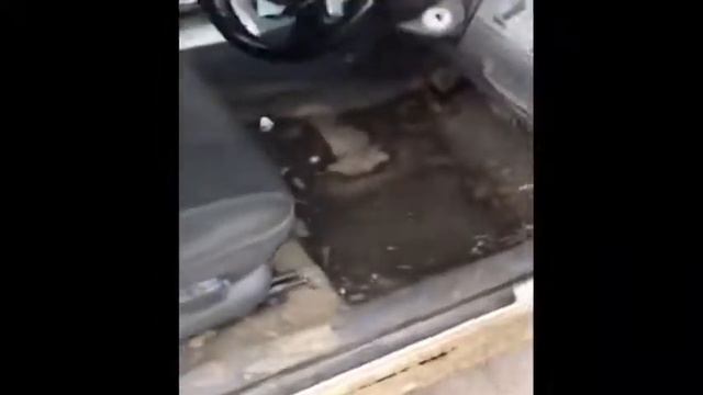 Пригнала женщина машину на мойку. смотреть онлайн