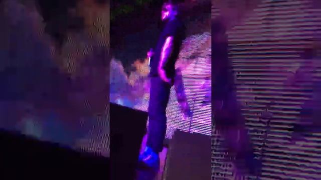 Лсп винегрет