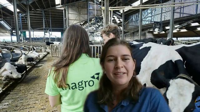 National webinar 23/06/23 - Labour Efficiency on Dairy Farms (Flanders, Belgium)