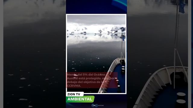 🌊🦐 Pesca de Krill: Animales pequeños, grandes preocupaciones 🦐🌊 смотреть онлайн
