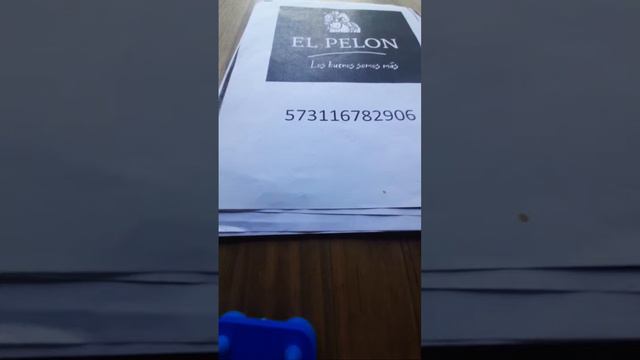 👊EL PELON 💯 está en vivo смотреть онлайн