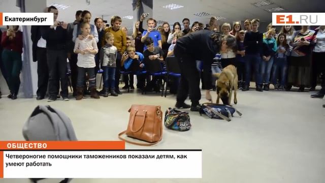 Четвероногие помощники таможенников показали детям, как умеют работать смотреть онлайн