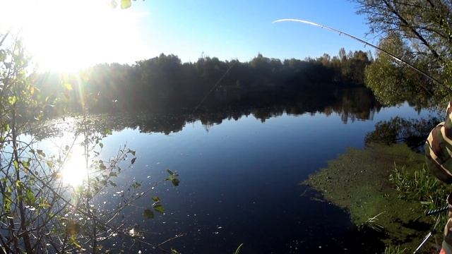 Как ловить леща в октябре? Ловля на фидер осенью. Рыбалка на фидер2021.Фидерная ловля осенью на рек смотреть онлайн